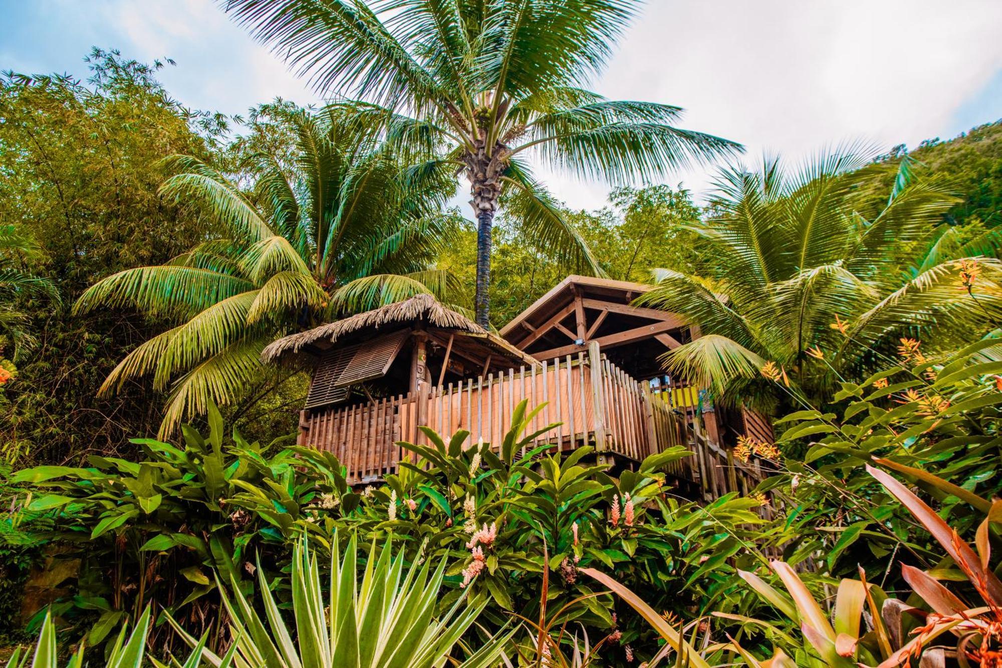 West Indies Cottage 黑角 外观 照片