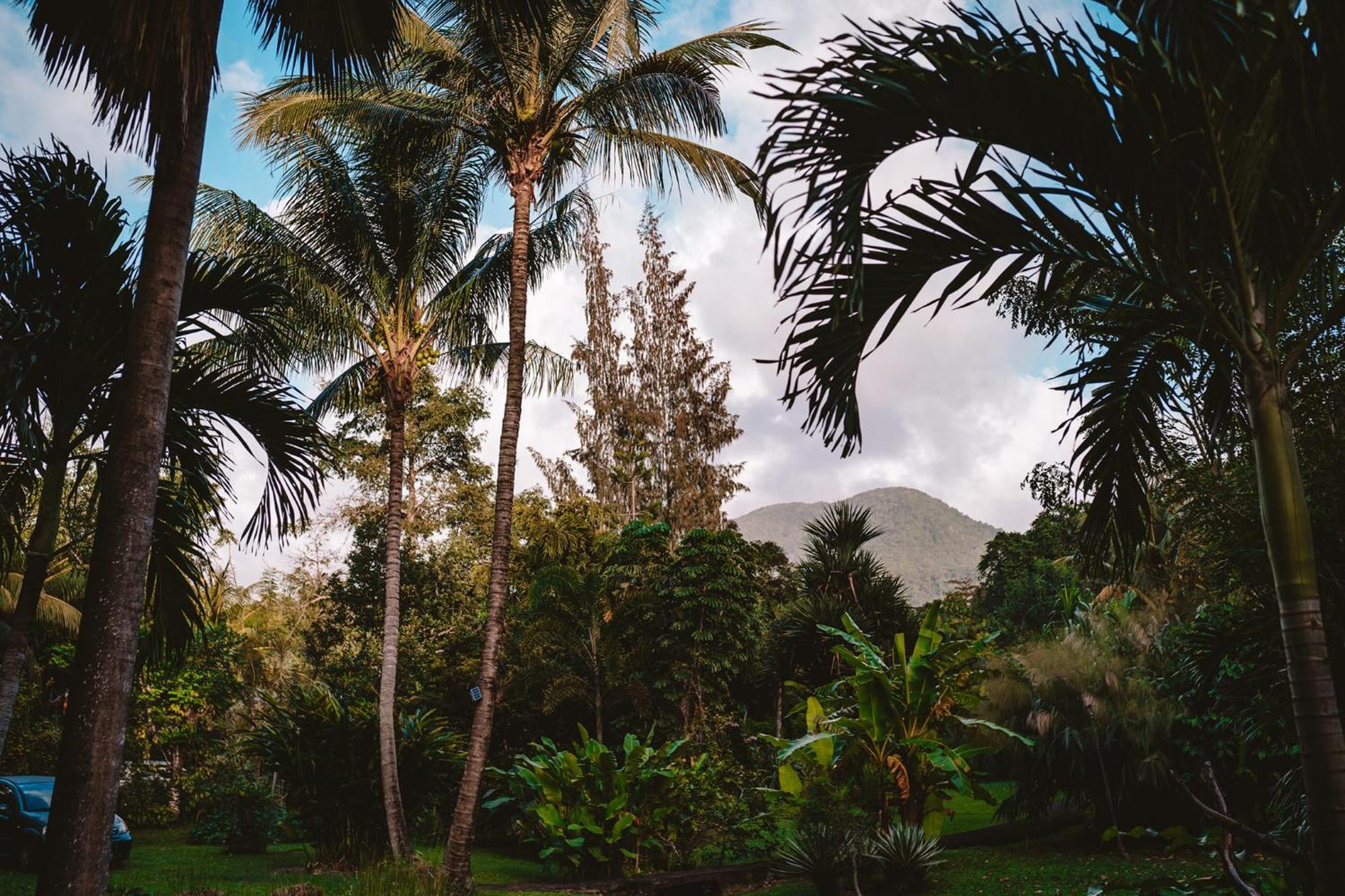 West Indies Cottage 黑角 外观 照片